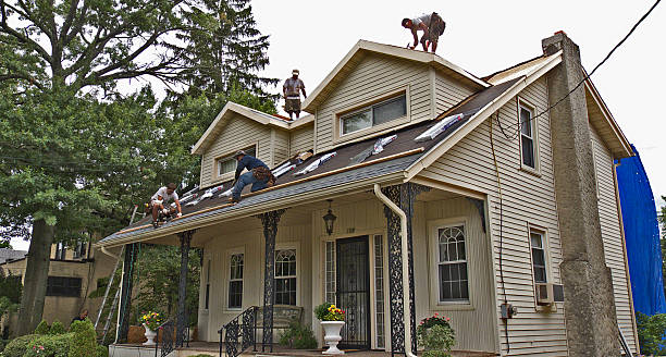 Best Roof Gutter Cleaning  in Morrisville, NY